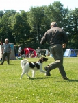 Pict0101.jpg